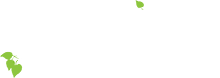 Birch Business House Ltd